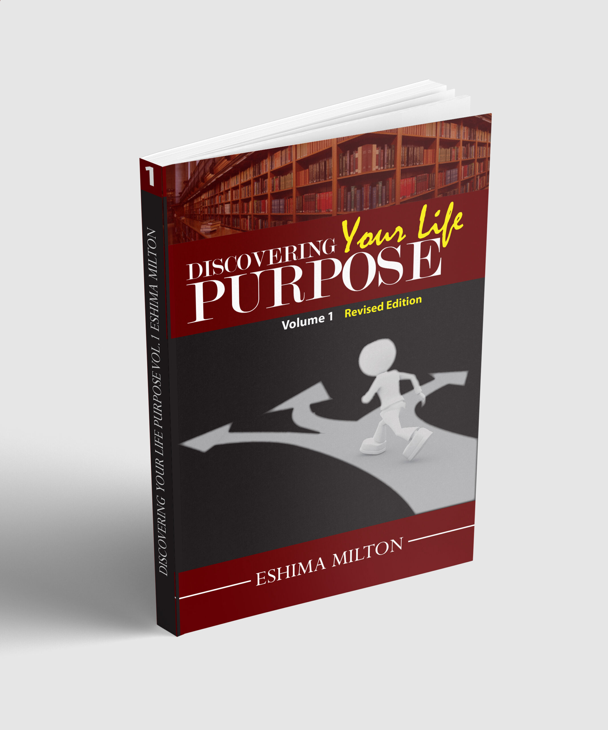 Discovering your life Purpose (Vol1)