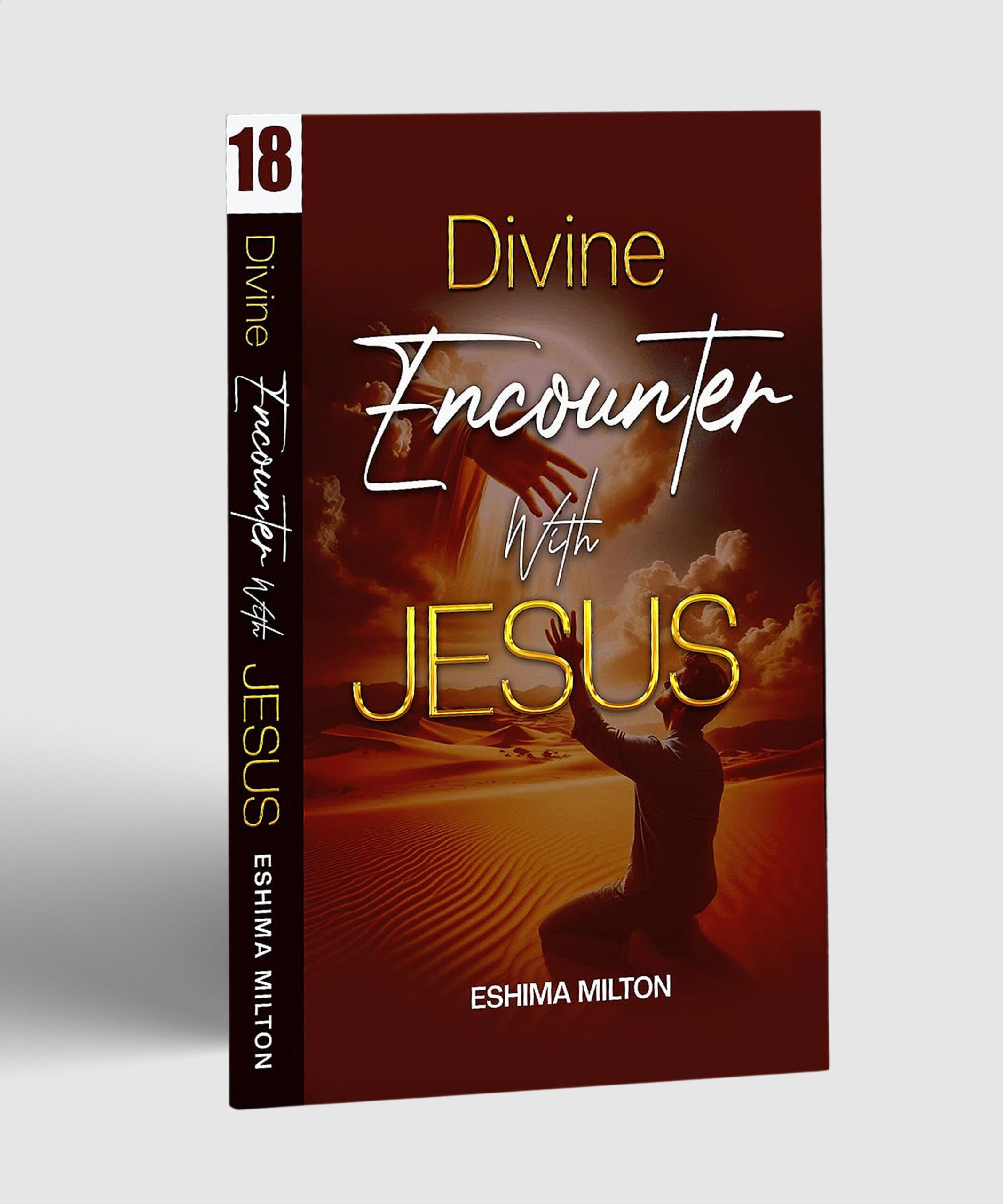Divine Encounter with Jesus